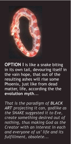 OPTION I is like a snake biting in its own tail, devouring itself in the vain hope, that out of the resulting ashes will rise some Phoenix, just like from dead matter, life, according the the evolution myth...   That is the paradigm of BLACK ART projecting it can, godlike as the SNAKE suggested it to Eve, create something desired out of nothing, thus making God as the Creator with an interest in each and everyone of us life and its fulfillment, obsolete...